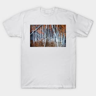 In Search Of My Soul T-Shirt